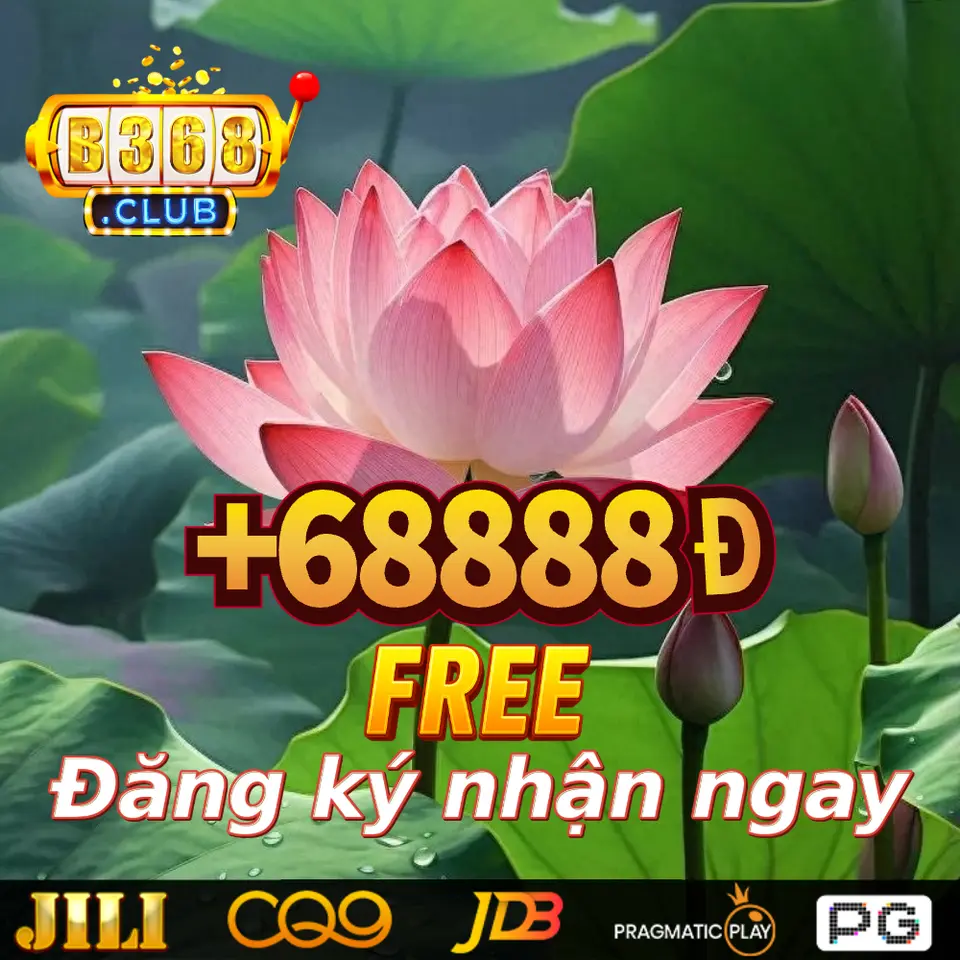 MMLIVE Đăng nhập Chính thức 2026 Ứng Dụng